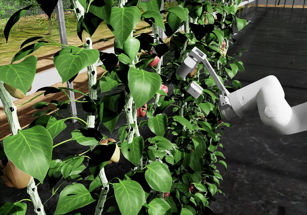 Robot camera inspecting a pepper plant in the SG-AMP system