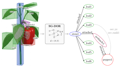 SG-DOR scene representation of a pepper plant and its direction-conditioned scene graph